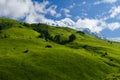 Summer landscape with a mountain top Tetnuldi Royalty Free Stock Photo