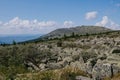 Summer landscape in the mountains. field of stones, coniferous trees, rocky mountain and blue sky with clouds Royalty Free Stock Photo