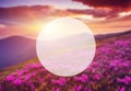 Summer landscape in mountains Royalty Free Stock Photo