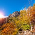 Summer landscape in the mountains. Sunrise