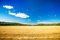 Summer Landscape with Mown Wheat Field and Sky