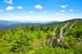 Summer landscape in National Park Sumava. Czech republic. Royalty Free Stock Photo