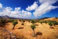 Summer landscape - Naxos island, Greece Royalty Free Stock Photo