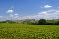 Summer landscape near Volterra, Tuscany Royalty Free Stock Photo