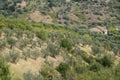 Summer landscape near Volterra, Tuscany Royalty Free Stock Photo