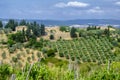Summer landscape near Volterra, Tuscany Royalty Free Stock Photo