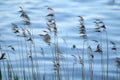 Landscape near water Royalty Free Stock Photo