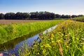 Summer landscape in the Netherlands with green meadow and calm stream and field of dandelions yellow flower in the blue sky Royalty Free Stock Photo