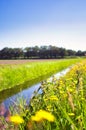Summer landscape in the Netherlands with green meadow and calm stream and field of dandelions yellow flower in the blue sky Royalty Free Stock Photo