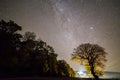 Summer landscape at night. Dark tall trees along empty road stretching to horizon under black sky with myriads of white sparkling