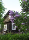 Summer landscape with old house and small garden in countryside. Royalty Free Stock Photo