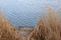 Summer landscape with old wooden fishing pier on the river among the dry reeds. Windy weather. Waves on the water. Royalty Free Stock Photo