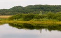 Summer landscape in a overcast morning Royalty Free Stock Photo