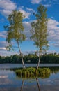 Summer landscape in the Palace of Gatchina park. St. Petersburg, Russia. Royalty Free Stock Photo