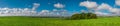Summer landscape panorama. Royalty Free Stock Photo