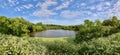 Summer landscape panorama of russian nature. View on pond between green trees and blooming grass under blue sky Royalty Free Stock Photo