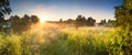 Landscape panorama with sunrise and forest and meadow Royalty Free Stock Photo