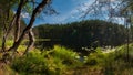 summer landscape. panoramic view of a large forest lake with green grassy shores and coastal trees in clear weather under a blue Royalty Free Stock Photo