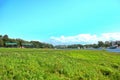 Summer landscape - park and riverside in bright sunny day Royalty Free Stock Photo