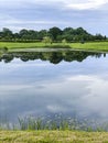 Summer landscape of park on the shore of small pond