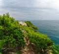 Path among coniferous bushes on a high seashore