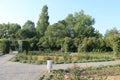 Summer landscape on Petrin hill Prague Czech Republic