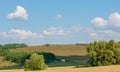 Summer landscape photography, hilly terrain with fields of wheat, mixed forest, oaks, birch, aspen, maple, central Europe