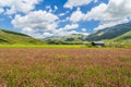 Summer landscape at Piano Grande mountain plateau, Umbria, Italy Royalty Free Stock Photo