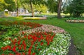 Summer landscape of a picturesque city park on Elagin Island in Saint Petersburg