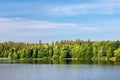 Summer landscape with pond, forest and blue sky