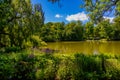 Summer landscape with a pond Saski Garden Warsaw Poland green trees warm day