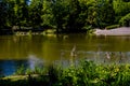 Summer landscape with a pond Saski Garden Warsaw Poland green trees warm day