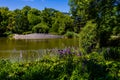 Summer landscape with a pond Saski Garden Warsaw Poland green trees warm day