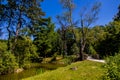 Summer landscape with a pond Saski Garden Warsaw Poland green trees warm day