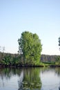 Summer landscape on the quiet lake Royalty Free Stock Photo