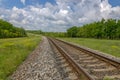 Summer landscape with railway, trees and wildflowers Royalty Free Stock Photo