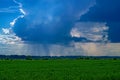Summer landscape with rain over a green field at the horizon. Sun rays through dark blue clouds. Royalty Free Stock Photo