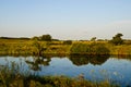 Summer landscape with a river and blue sky. A small pond in the middle of a field with trees. Blue sky and green grass. Beautiful Royalty Free Stock Photo