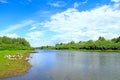 Summer landscape with river and grazing geese