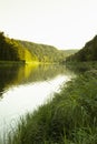 Summer landscape with river in rocky canyon with lush green grass on meadow, coniferous forest in golden morning sunlight Royalty Free Stock Photo