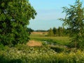 Summer landscape with river and trees