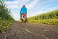 Summer landscape road, wheat field and clouds. Motorcycle.