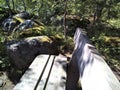 Rocks, trees, bench in the wood  on the coast of sea, Kotka, Finland Royalty Free Stock Photo