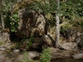 Rocks, trees in the forest, in Kotka, Finland Royalty Free Stock Photo