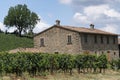 Summer landscape in Romagna Italy