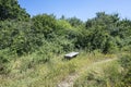 Summer Landscape of Rudina mountain, Bulgaria Royalty Free Stock Photo