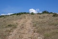 Summer Landscape of Rudina mountain, Bulgaria Royalty Free Stock Photo