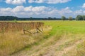 Summer landscape in rural area, central Ukraine Royalty Free Stock Photo
