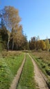 Summer landscape. rural road in the forest under the trees Royalty Free Stock Photo