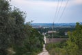 Summer landscape rural road rural evening landscape. Royalty Free Stock Photo